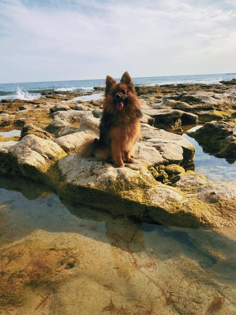 WhatsApp Image 2023-07-18 at 10.49.23