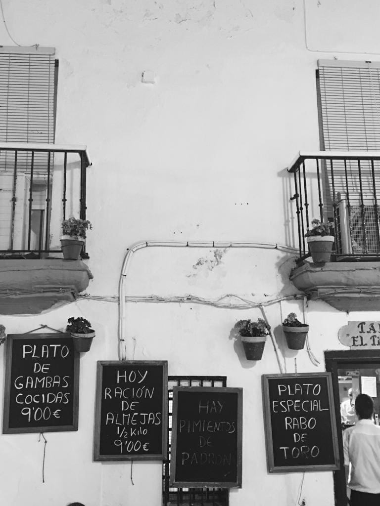 WhatsApp Image 2023-07-18 at 10.57.39