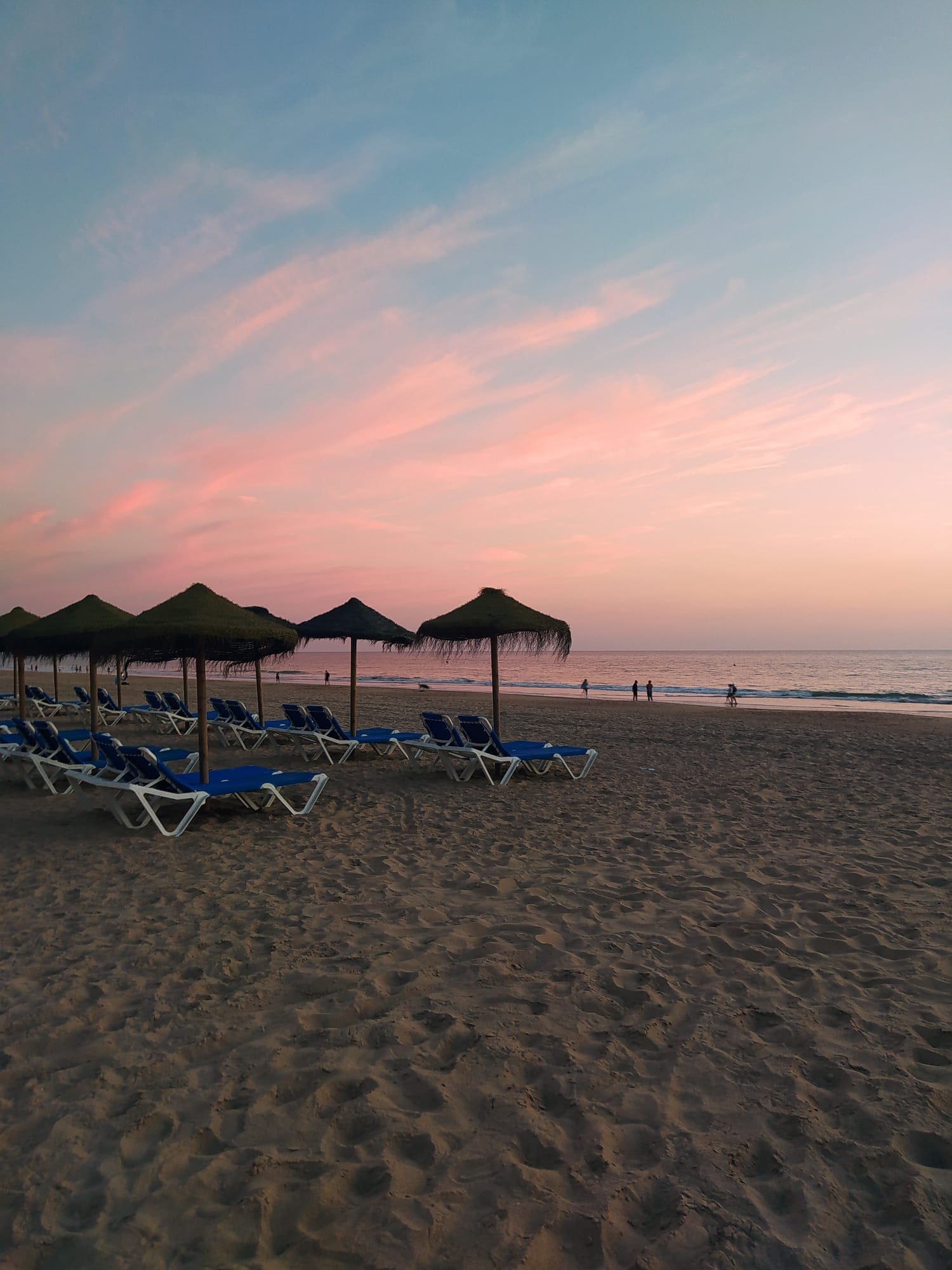 WhatsApp Image 2023-07-18 at 21.24.13 (1)