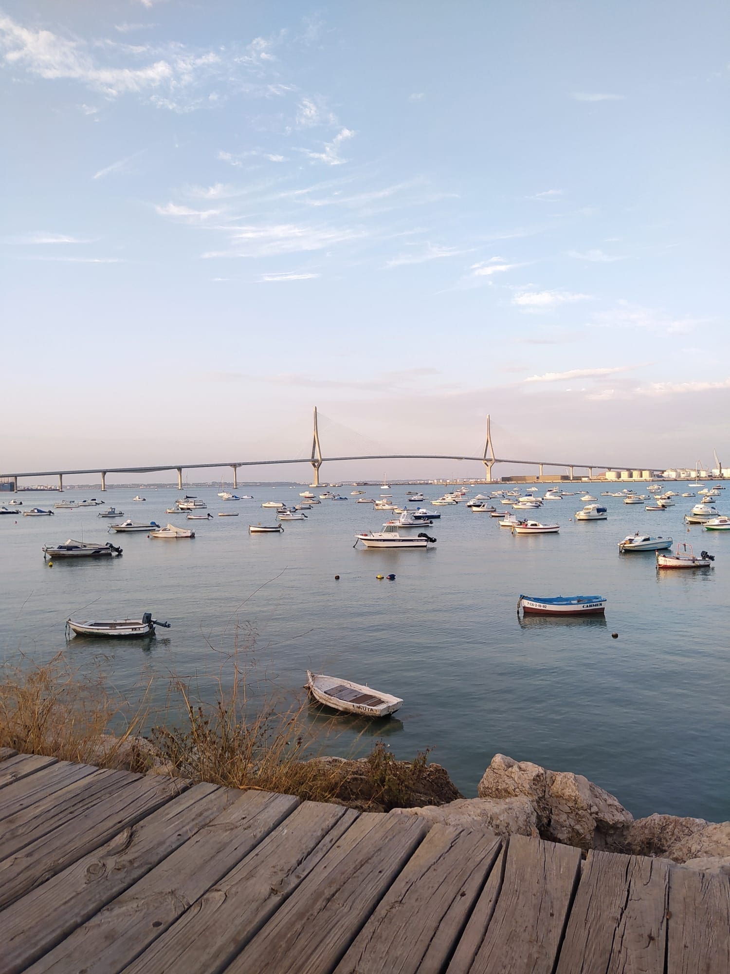 WhatsApp Image 2023-07-18 at 21.24.13